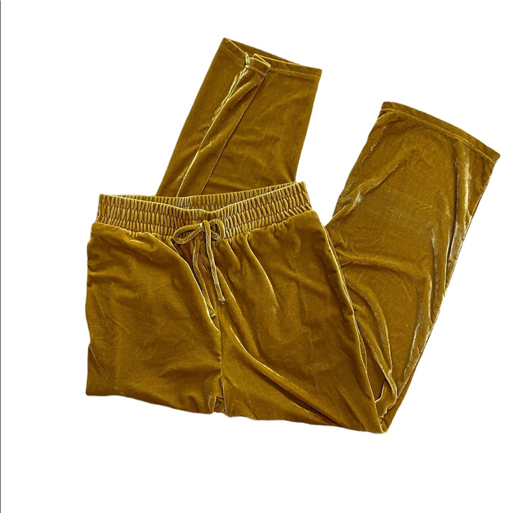 NWOT | Elodie | Elastic Waist Velvet Pants